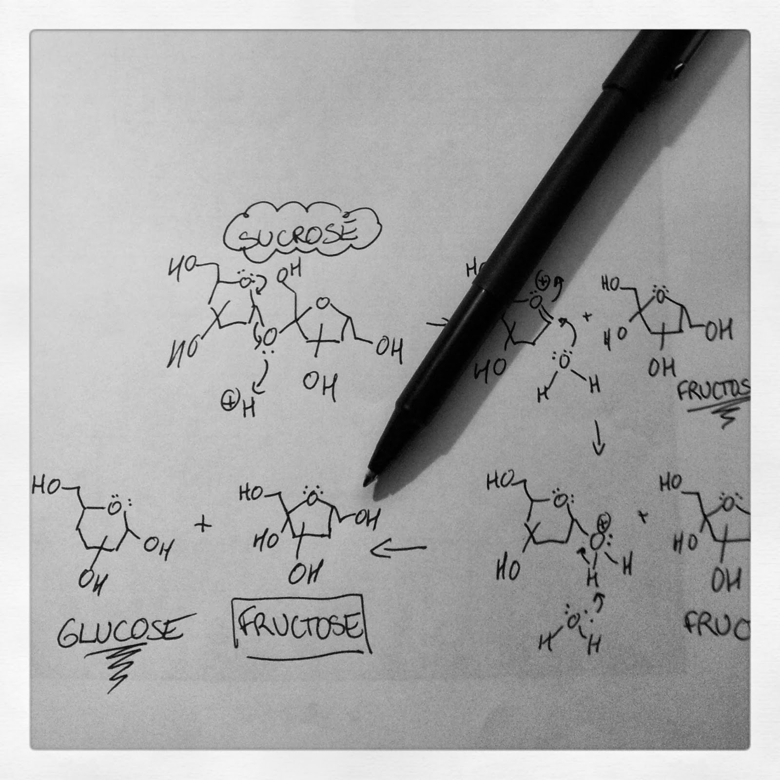 acid-catalyzed hydrolysis of sucrose acid-catalyzed hydrolysis of sucrose | kitchen heals soul