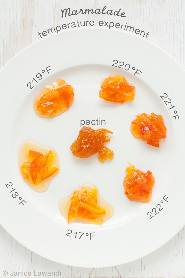 A palette of marmalades cooked to different temperatures to show the impact of cooking temperature on marmalade set. Marmalade cooked to 217 are more runny while marmalades cooked to 220–222ºF are just right. Above 222ºF, marmalade becomes dryer and chewy